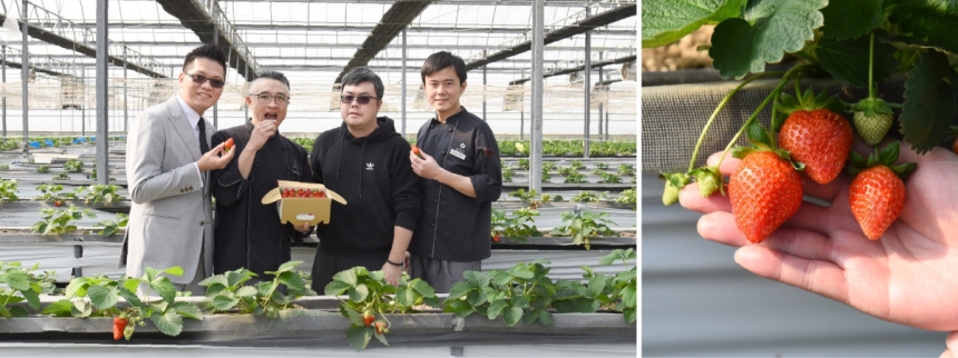 01-烘焙坊-草莓季-FB-07